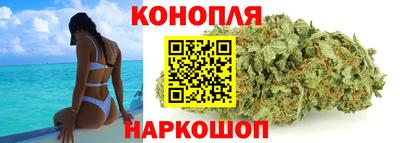 прущие крисы Будённовск