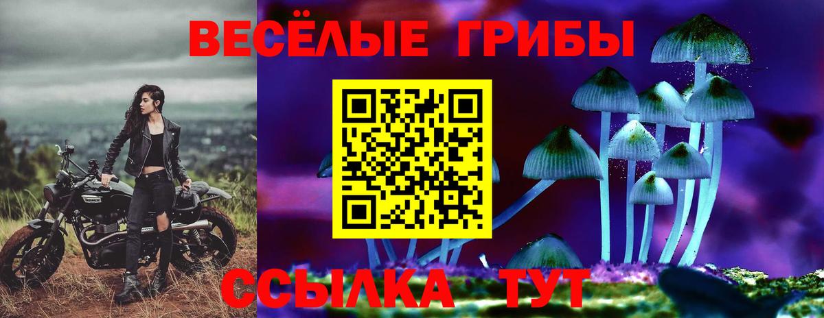 Сертолово  Псилоцибиновые грибы мицелий  Вход с VPN 